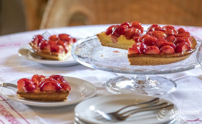 Ferienhaus Vresse sur Semois 15 Pers. Ardennen