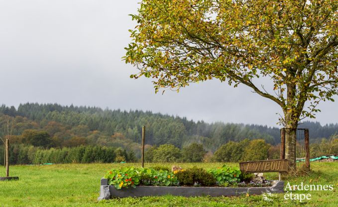 Ferienhaus Vresse-sur-Semois 7 Pers. Ardennen