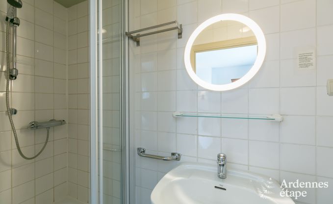 Ferienhaus Bivre 10 Pers. Ardennen Wellness