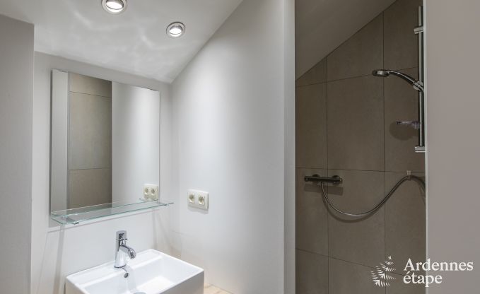 Ferienhaus Vresse sur Semois 14 Pers. Ardennen Wellness