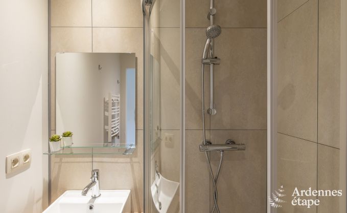 Ferienhaus Vresse sur Semois 14 Pers. Ardennen Wellness