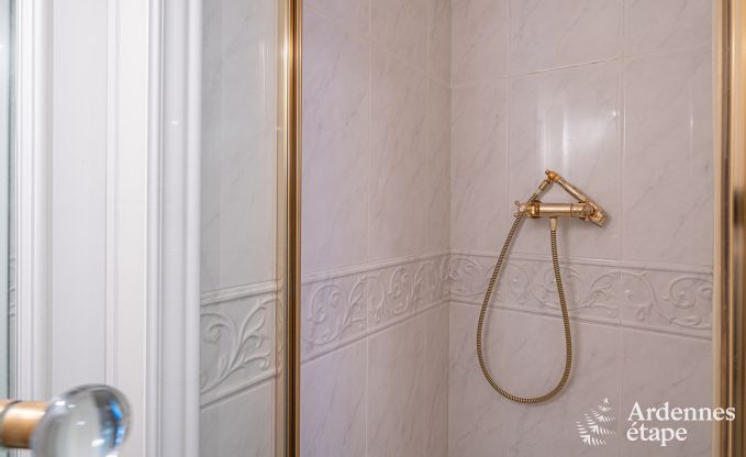 Luxus-Ferienhaus fr groe Gruppen in Vresse-sur-Semois, Ardennen