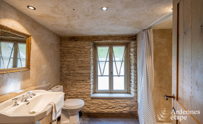 Luxus-Ferienhaus fr groe Gruppen in Vresse-sur-Semois, Ardennen