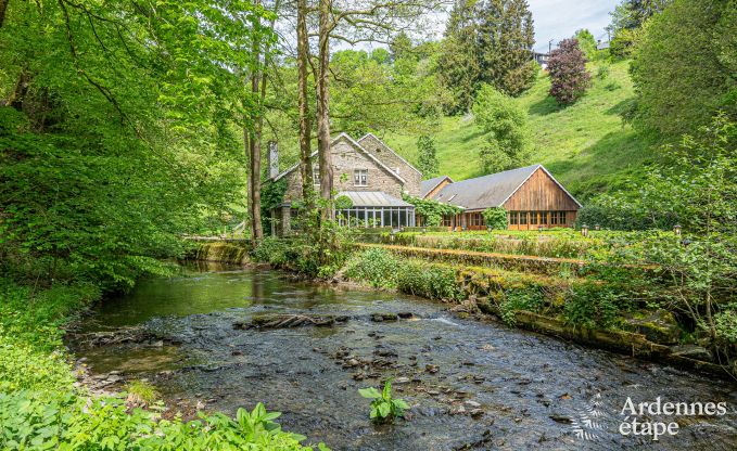 Luxus-Ferienhaus fr groe Gruppen in Vresse-sur-Semois, Ardennen