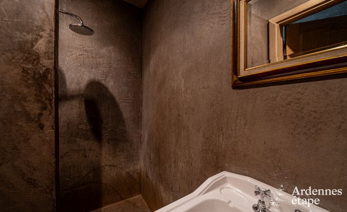 Luxus-Ferienhaus fr groe Gruppen in Vresse-sur-Semois, Ardennen