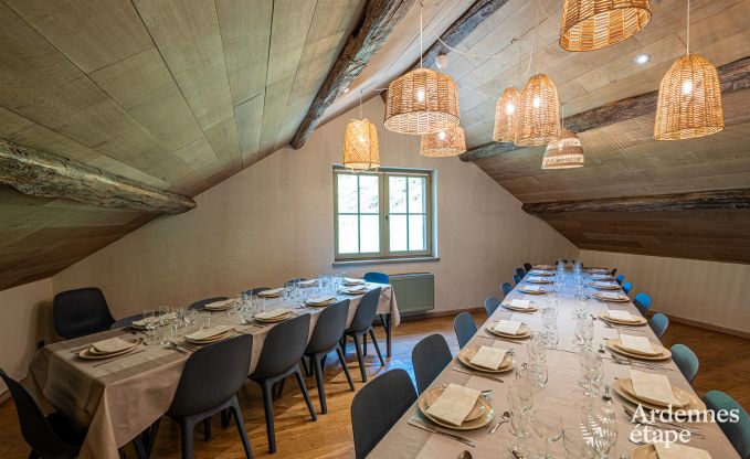 Luxus-Ferienhaus fr groe Gruppen in Vresse-sur-Semois, Ardennen