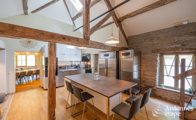 Luxus-Ferienhaus fr groe Gruppen in Vresse-sur-Semois, Ardennen