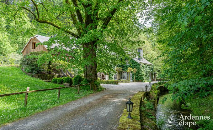 Luxus-Ferienhaus fr groe Gruppen in Vresse-sur-Semois, Ardennen