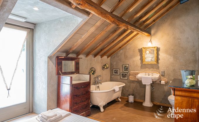 Luxus-Ferienhaus fr groe Gruppen in Vresse-sur-Semois, Ardennen