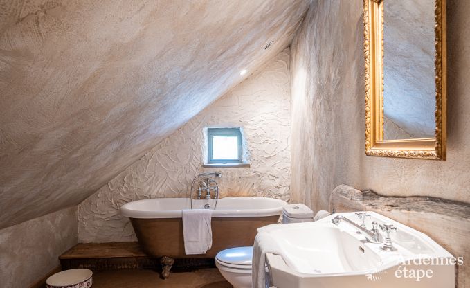 Luxus-Ferienhaus fr groe Gruppen in Vresse-sur-Semois, Ardennen