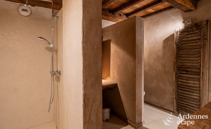 Luxus-Ferienhaus fr groe Gruppen in Vresse-sur-Semois, Ardennen