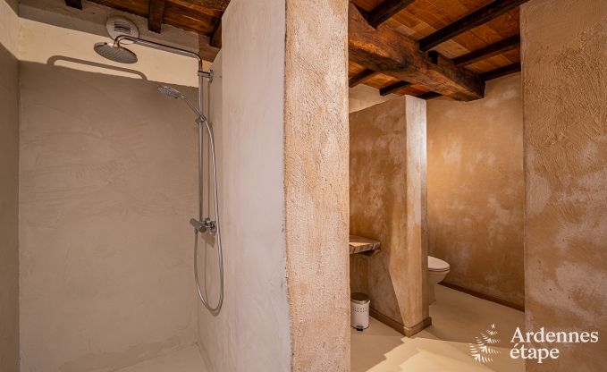 Luxus-Ferienhaus f�r gro�e Gruppen in Vresse-sur-Semois, Ardennen