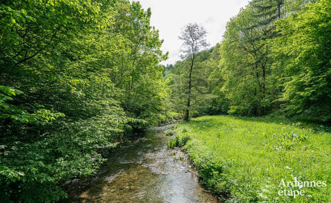 Luxus-Ferienhaus f�r gro�e Gruppen in Vresse-sur-Semois, Ardennen