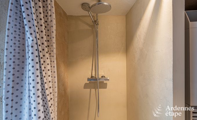 Luxus-Ferienhaus f�r gro�e Gruppen in Vresse-sur-Semois, Ardennen