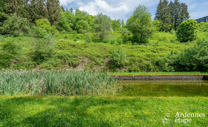 Luxus-Ferienhaus f�r gro�e Gruppen in Vresse-sur-Semois, Ardennen