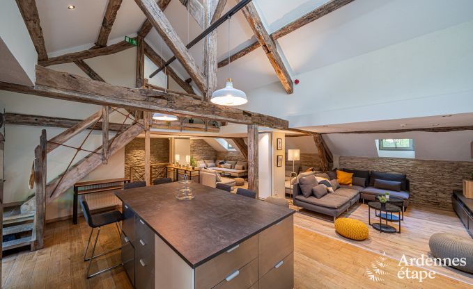 Luxus-Ferienhaus f�r gro�e Gruppen in Vresse-sur-Semois, Ardennen