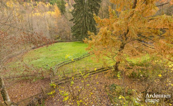 Ferienhaus Vresse-sur-Semois 9 Pers. Ardennen