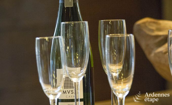 Ferienhaus Vresse-sur-Semois 9 Pers. Ardennen