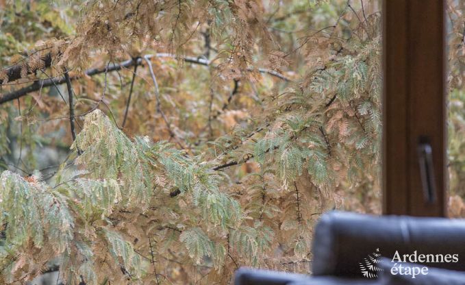 Ferienhaus Vresse-sur-Semois 9 Pers. Ardennen