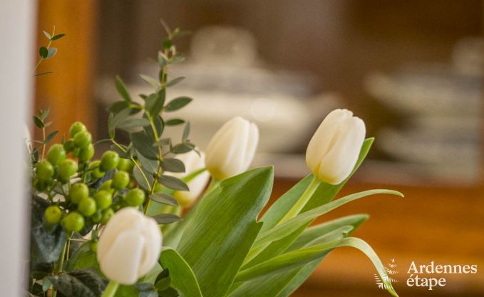 Ferienhaus Vresse-sur-Semois 13/14 Pers. Ardennen