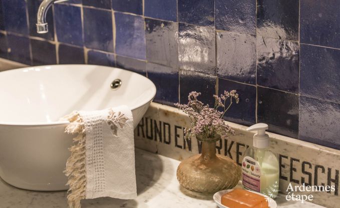 Ferienhaus Vresse-sur-Semois 13/14 Pers. Ardennen