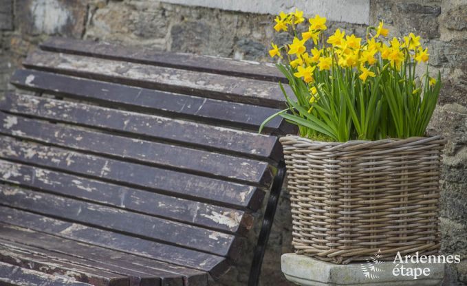 Ferienhaus Vresse-sur-Semois 13/14 Pers. Ardennen