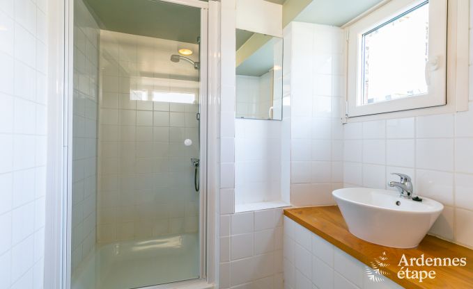 Ferienhaus Bivre 21 Pers. Ardennen Wellness