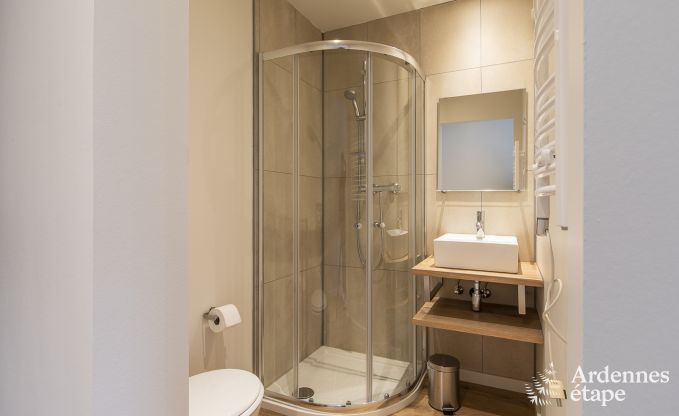 Ferienhaus Vresse sur Semois 14 Pers. Ardennen Wellness