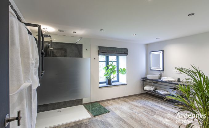 Luxusvilla Vresse-sur-semois 15 Pers. Ardennen Schwimmbad Wellness Behinderten gerecht