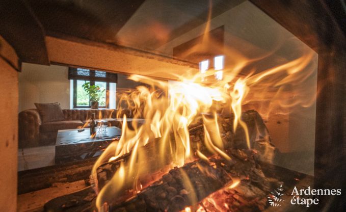 Luxusvilla Vresse-sur-semois 15 Pers. Ardennen Schwimmbad Wellness Behinderten gerecht