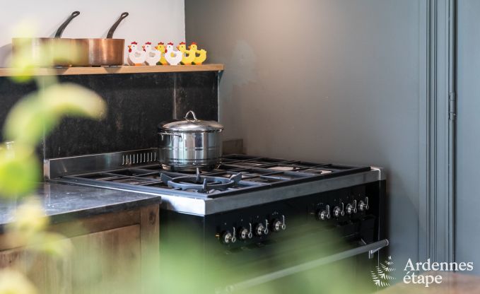 Ferienhaus Vresse-sur-semois 8 Pers. Ardennen