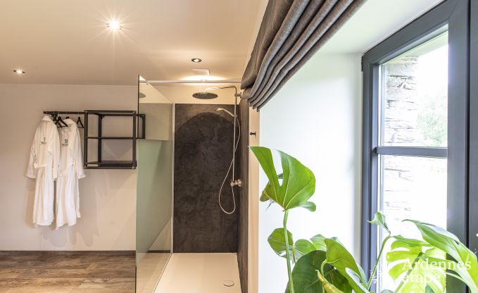 Luxusvilla Vresse-sur-semois 15 Pers. Ardennen Schwimmbad Wellness Behinderten gerecht