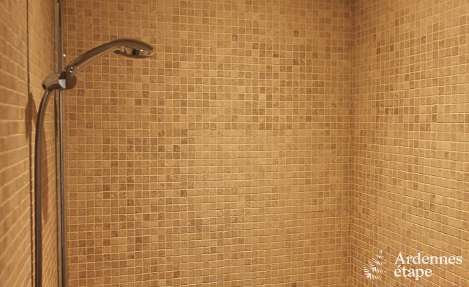 Ferienhaus Waimes 6 Pers. Ardennen