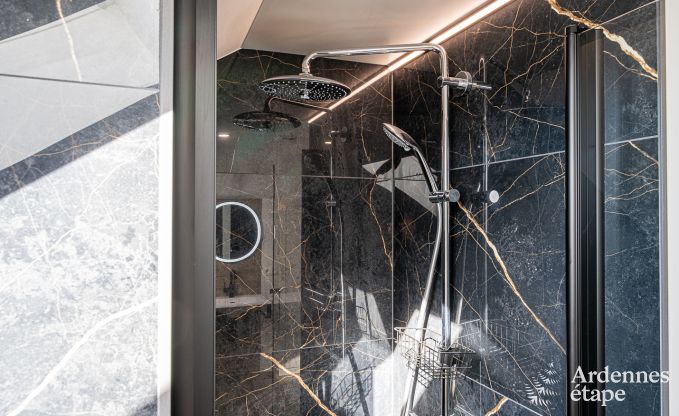 Ferienhaus Waimes 15 Pers. Ardennen Wellness