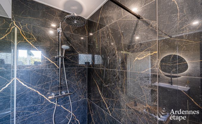 Ferienhaus Waimes 15 Pers. Ardennen Wellness