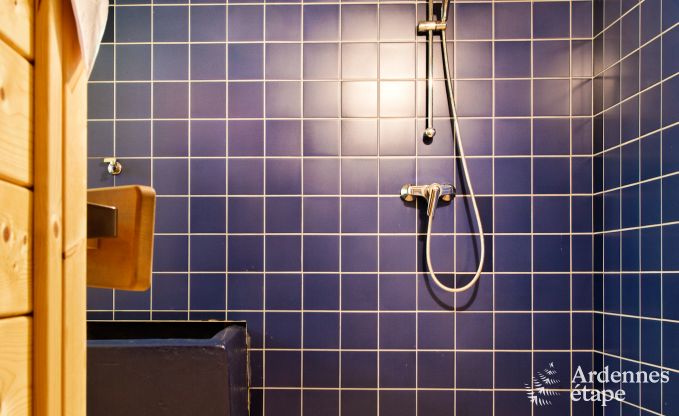 Ferienhaus Waimes 22 Pers. Ardennen Wellness