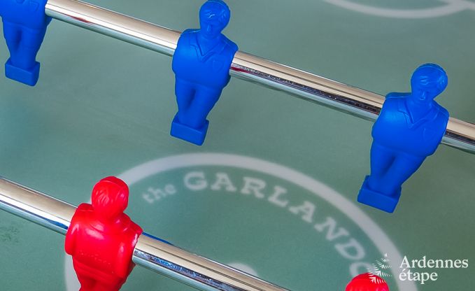 Ferienhaus Waimes 9 Pers. Ardennen Wellness