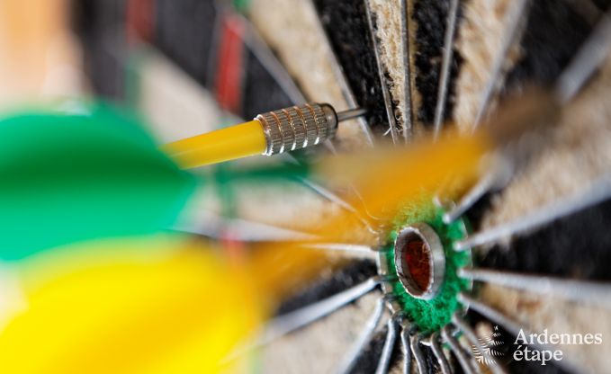 Ferienhaus Waimes 12 Pers. Ardennen Wellness