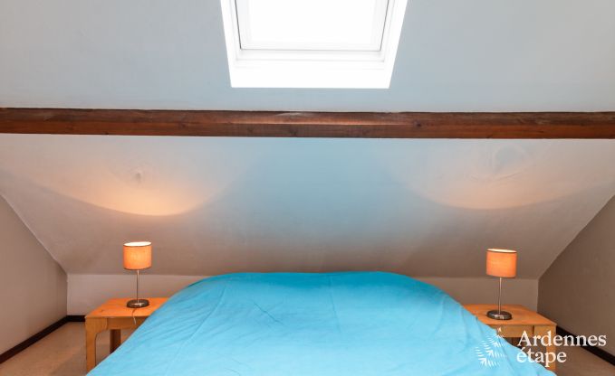 Ferienhaus Waimes 12 Pers. Ardennen Wellness