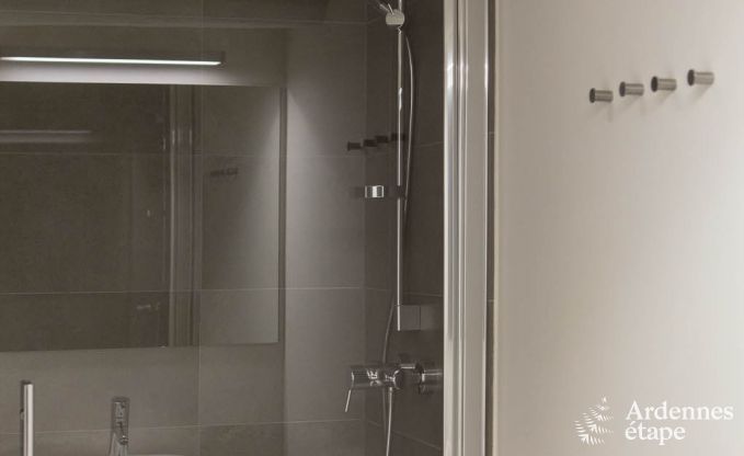 Ferienhaus Waimes 24 Pers. Ardennen Wellness