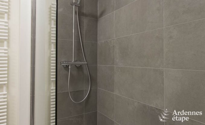 Ferienhaus Waimes 24 Pers. Ardennen Wellness