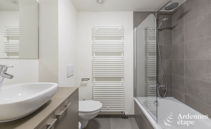 Ferienhaus Waimes 24 Pers. Ardennen Wellness