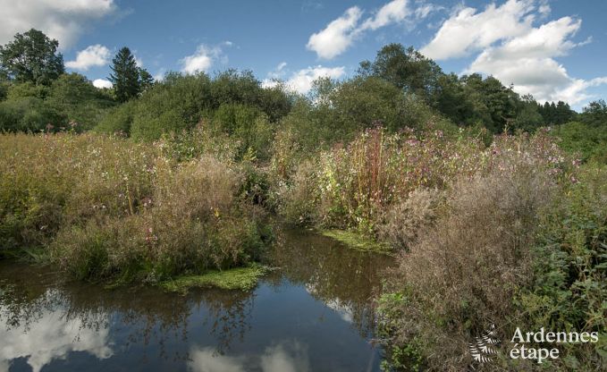 Ferienhaus Waimes 24 Pers. Ardennen Wellness