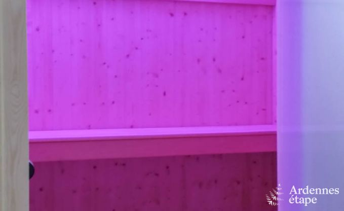 Ferienhaus Waimes 9 Pers. Ardennen Wellness