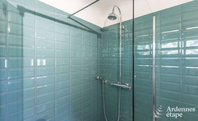 Ferienhaus Waimes 13 Pers. Ardennen Wellness