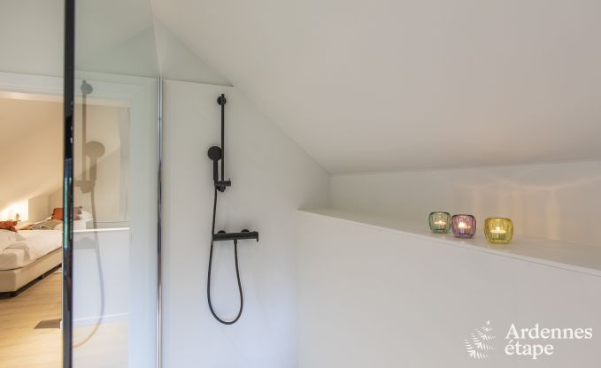 Ferienhaus Waimes 13 Pers. Ardennen Wellness