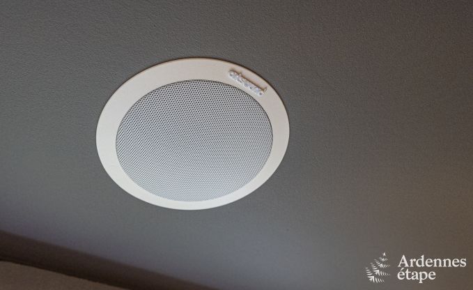 Ferienhaus Waimes 12 Pers. Ardennen Wellness