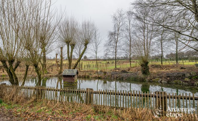 Ferienhaus Waimes 13 Pers. Ardennen Wellness