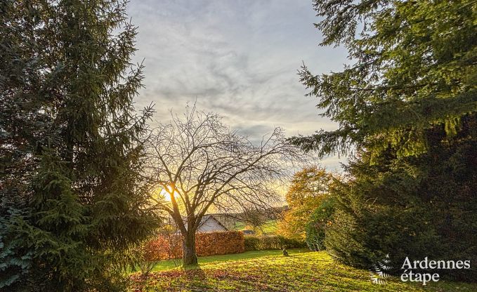 Ferienhaus Waimes 24 Pers. Ardennen Schwimmbad Wellness