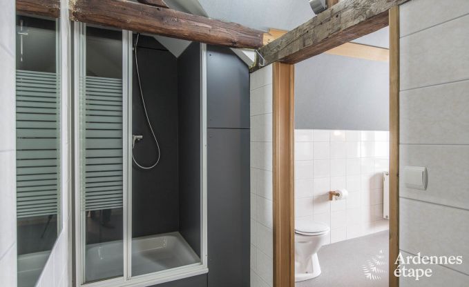 Ferienhaus Waimes 18 Pers. Ardennen Schwimmbad Wellness